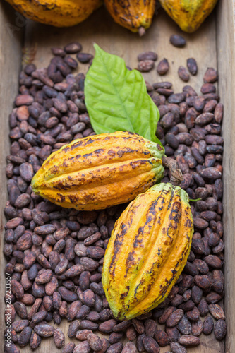 Ripe cocoa pod and beans setup on rustic wooden background