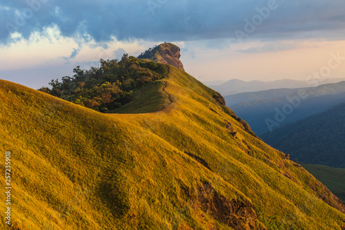 Landscape of meadow on high mountain in Doi Mon Chong, Chiangmai, Thailand.