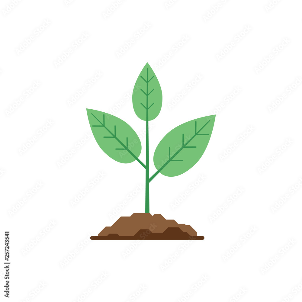 Green sprout in the ground on a white background. Green sprout in the ground on a white background.