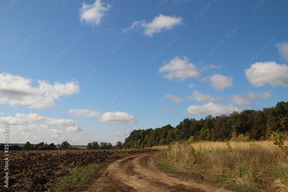 autumn landscape - country road under a blue sky