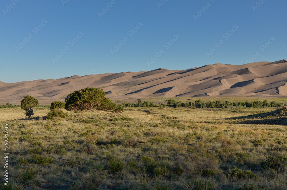 Great Sand Dunes National Park and Preserve in the morning (Saguache county, Colorado, USA)