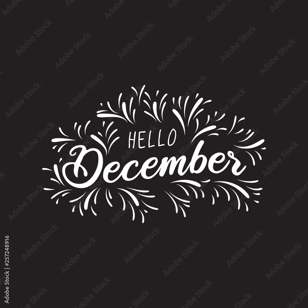 Handwritten phrase for banner, Hand drawn typography lettering phrase Hello december, Hello december phrase for calendar, flyer, greeting card, calendar. - Vector Handwritten phrase for banner, Hand drawn typography lettering phrase Hello december, Hello december phrase for calendar, flyer, greeting card, calendar. - Vector