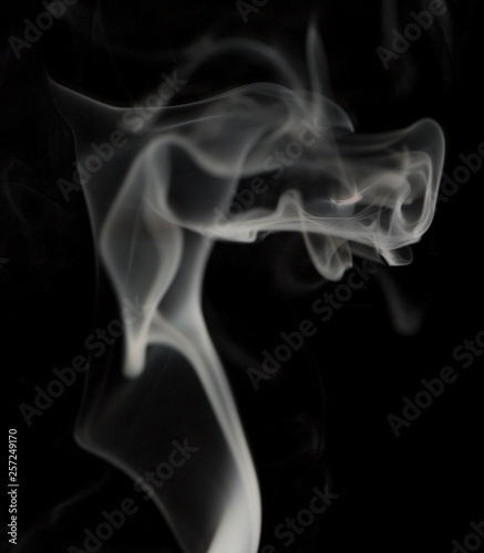 Abstract white smoke like dragon head on black background © donikz