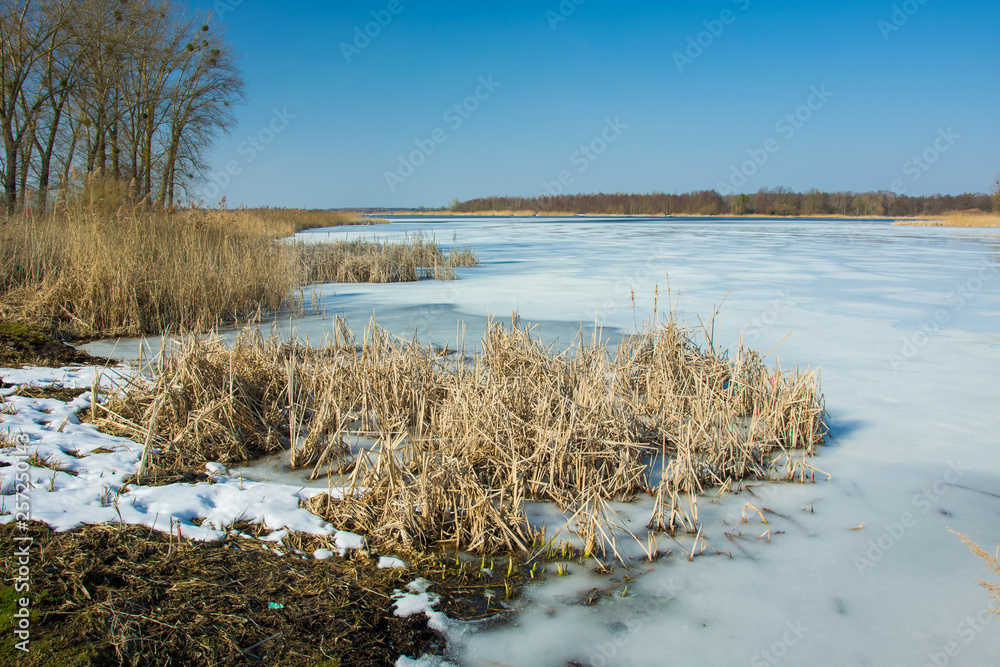 Grass and snow on the edge of a frozen lake. Horizon and blue sky Grass and snow on the edge of a frozen lake. Horizon and blue sky