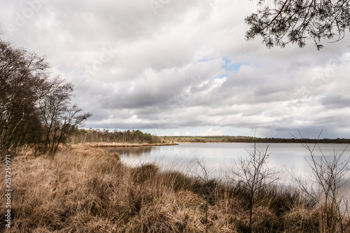 lake in winter