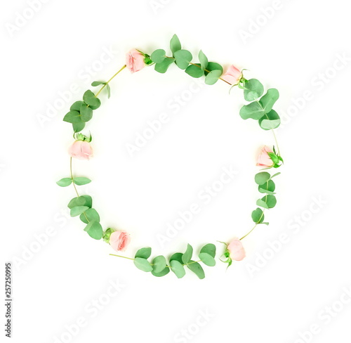 green eucalyptus leaves and pink roses wreath top view isolated on white background. copy space. flat lay. Minimal floral card.