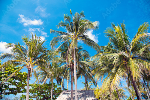 Coconut tree beach with beautiful blue sky © punthep