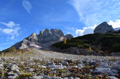 Wallpaper Mural mountain in the alps Torontodigital.ca