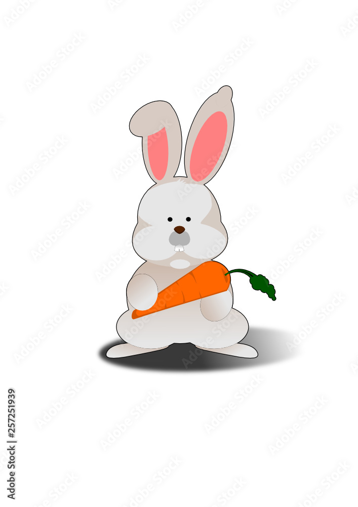 Fototapeta premium Coelho 