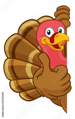 Turkey Thanksgiving or Christmas bird animal cartoon character peeking around a background sign giving a thumbs up photo