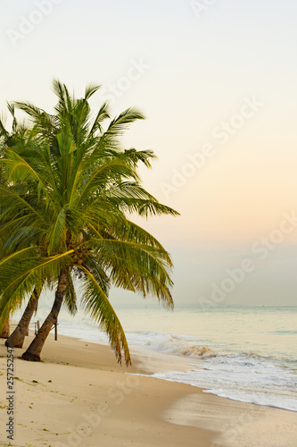 The Beautiful Beaches of Dar es Salaam 