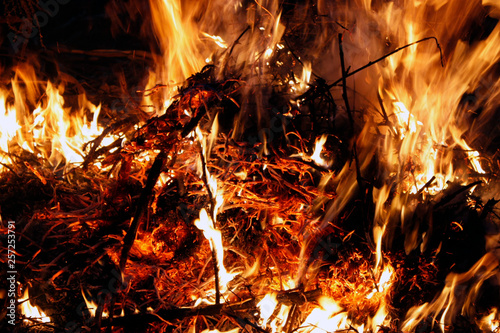 Fire, flames on a black background, fire texture