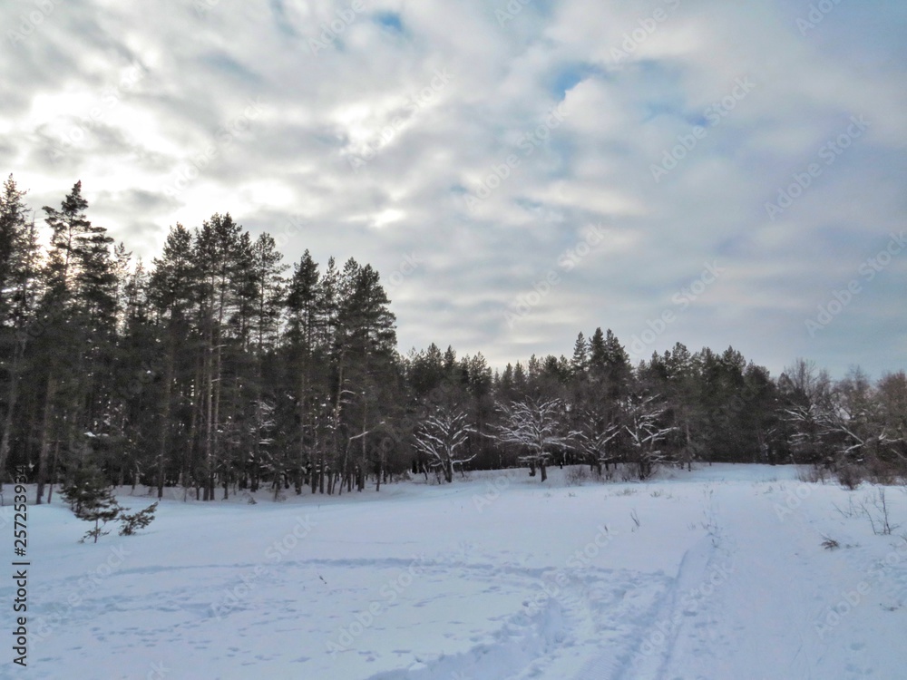 Winter landscapes zymes naparte Winter landscapes zymes naparte