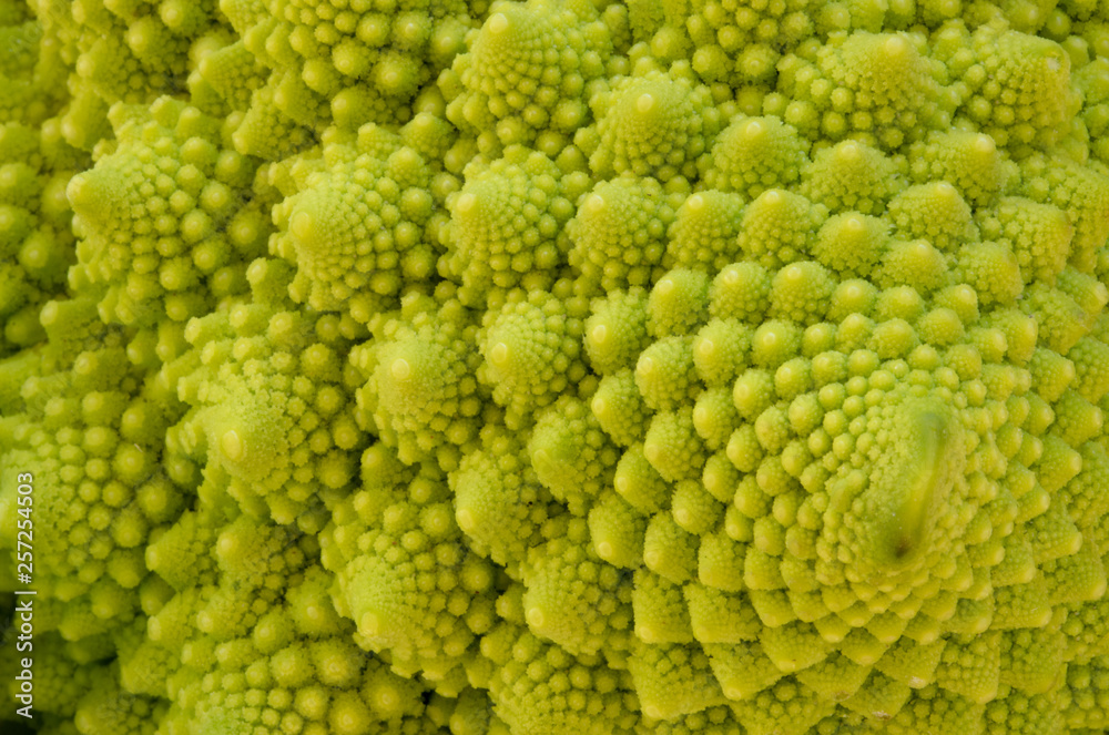 Cavolfiore Cavolfiore