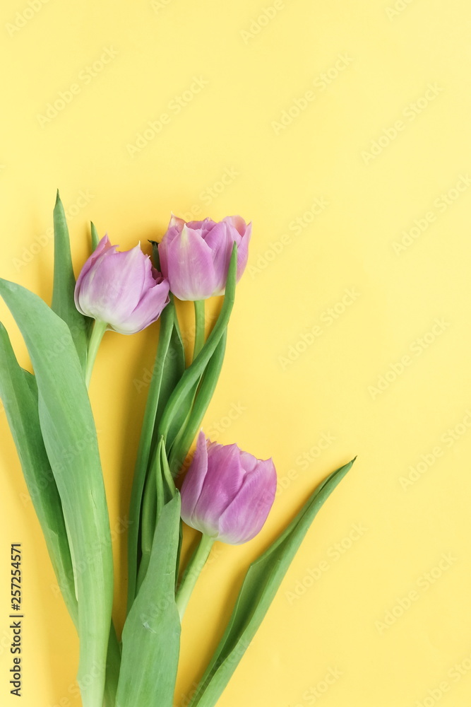 Fototapeta premium Flowers composition background. bouquet of purple violet tulips on a yellow background. top view. copy space. Flowers pattern