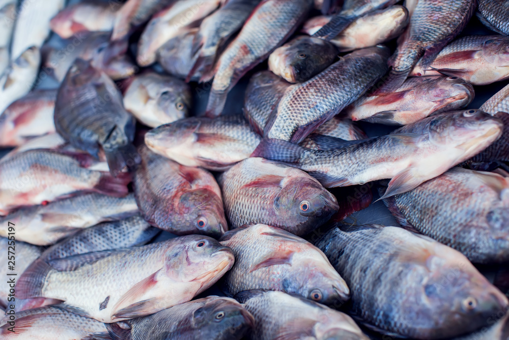 A lot of different kind of fish in market