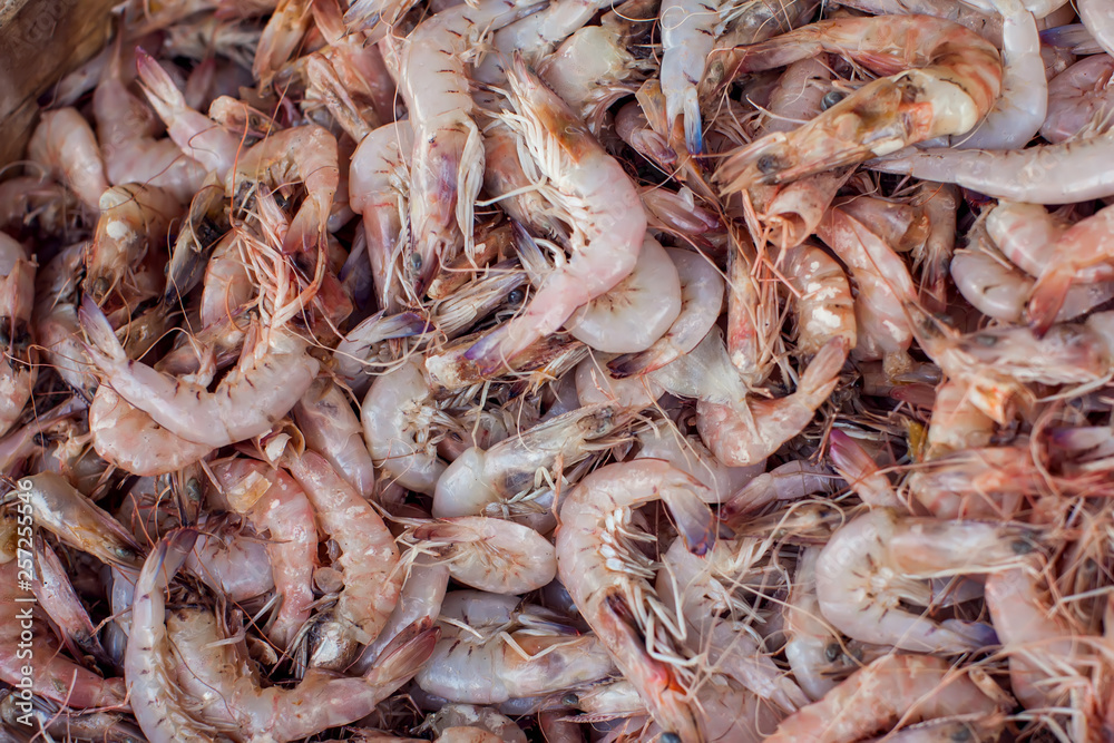 A lot of different kind of fish in market A lot of different kind of fish in market