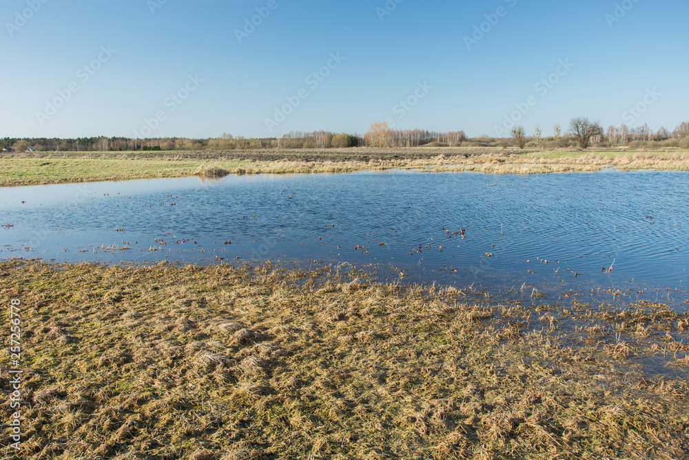 Water flooded meadow after rain and blue sky