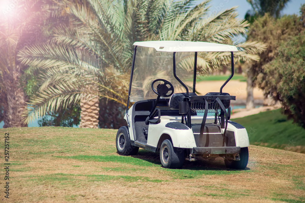Golf carts on the grass sport field. Lifestyle and sport concept
