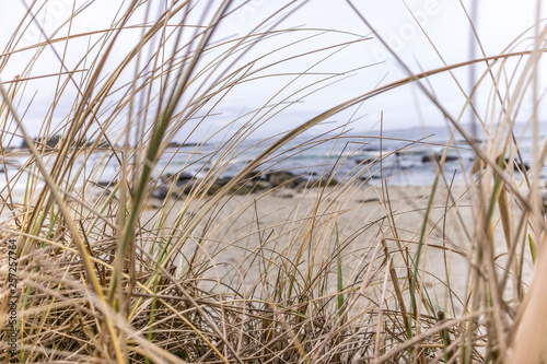 Landscape by the sea 