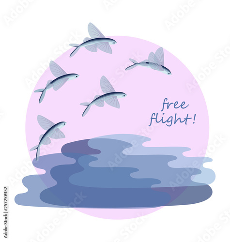 Flying fish in free flight. Poster, postcard, advertising flyer. Design for decoration of the menu, invitations to rest, sea travel, cruise.