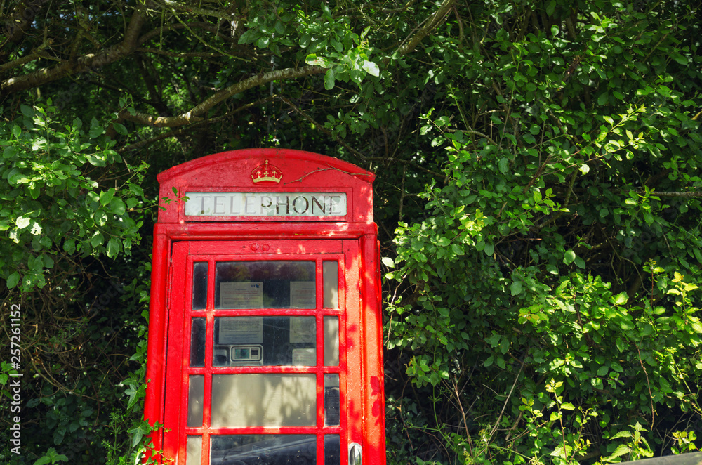 Red Telephone Box Within Green Tree Branches Red Telephone Box Within Green Tree Branches