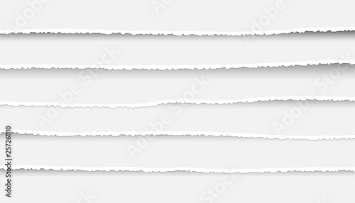Set of Ripped and Torn Paper Stripes. Texture of Paper with Damaged Edge Isolated on Transparent background. Vector illustration.
