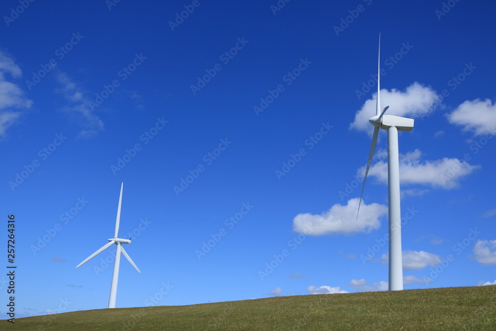 Fototapeta premium wind turbines in the field
