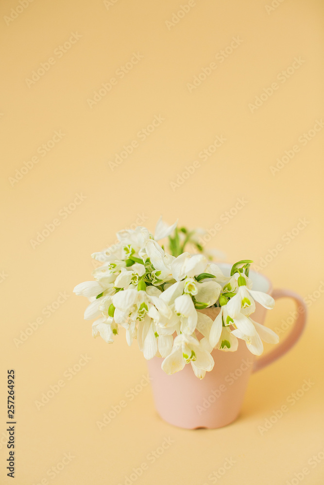 Snowdrops in pink cup on pastel background. Creative falt-lay.