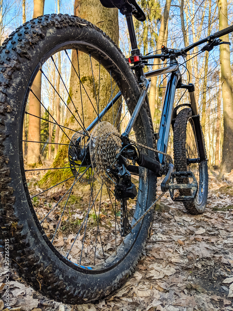 MTB bicycle on the trail in the spring season MTB bicycle on the trail in the spring season