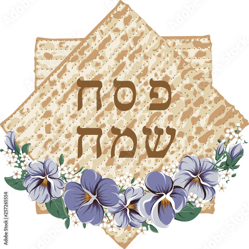 Vector Happy Passover jewish lettering and matza