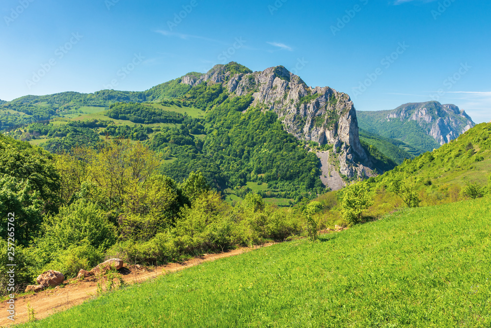 Fototapeta premium springtime in alba country, romania. wonderful sunny day in mountainous countryside. grassy hillside and gorge with cliffs in the distance under the clear blue sky