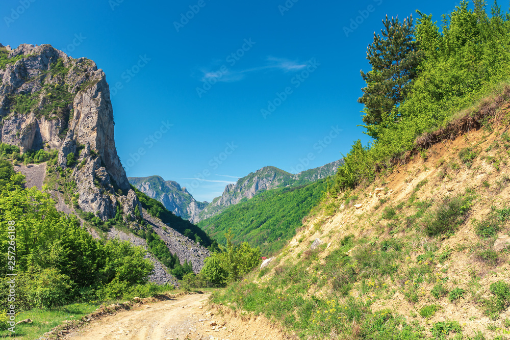 springtime in alba country, romania. wonderful sunny day in mountainous countryside. road in to the canyon with hanging cliffs under the clear blue sky