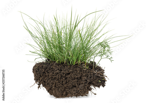 Grass with dirt isolated on a white background