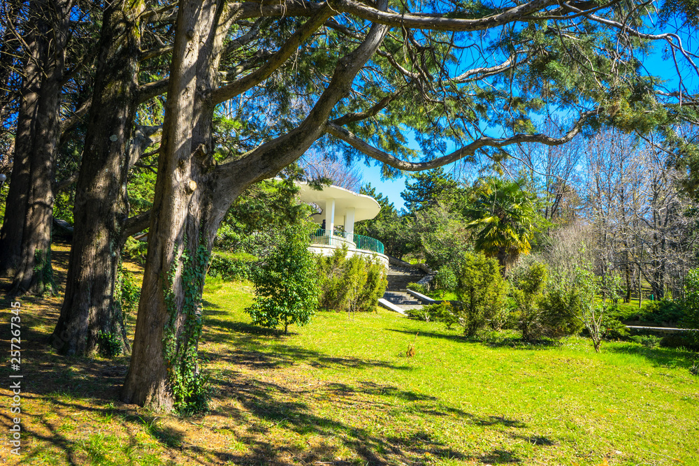 Observation deck in the arboretum in Sochi