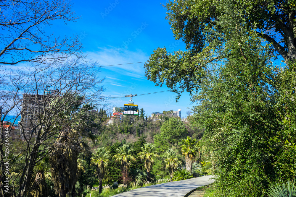 Obraz premium Cableway in the arboretum in Sochi