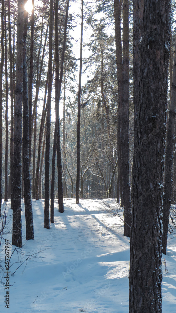 Winter landscapes of nature Winter landscapes of nature
