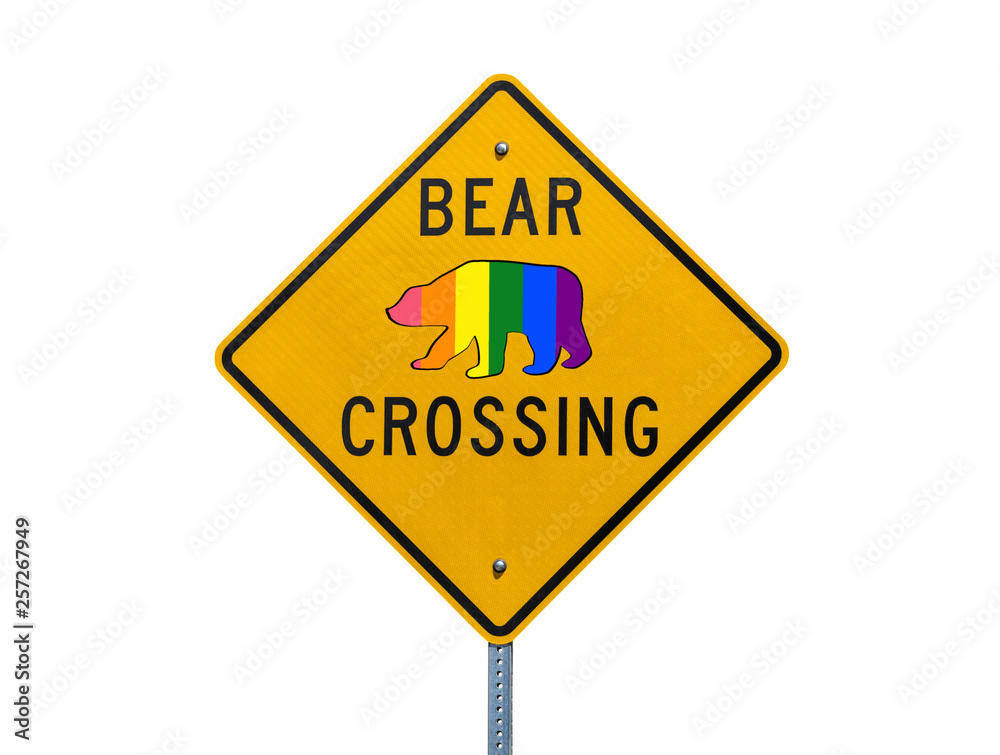Rainbow pride flag bear crossing highway sign isolated on white.