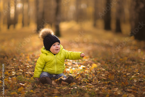 Baby 10 months among fallen leaves, autumn park © natalialeb