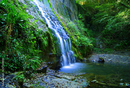 Waterfall in the paradise