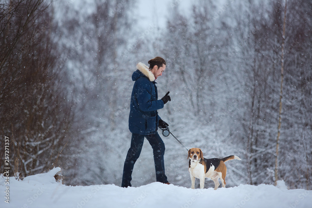 Man training dog beagle in winter. Snowing day Man training dog beagle in winter. Snowing day