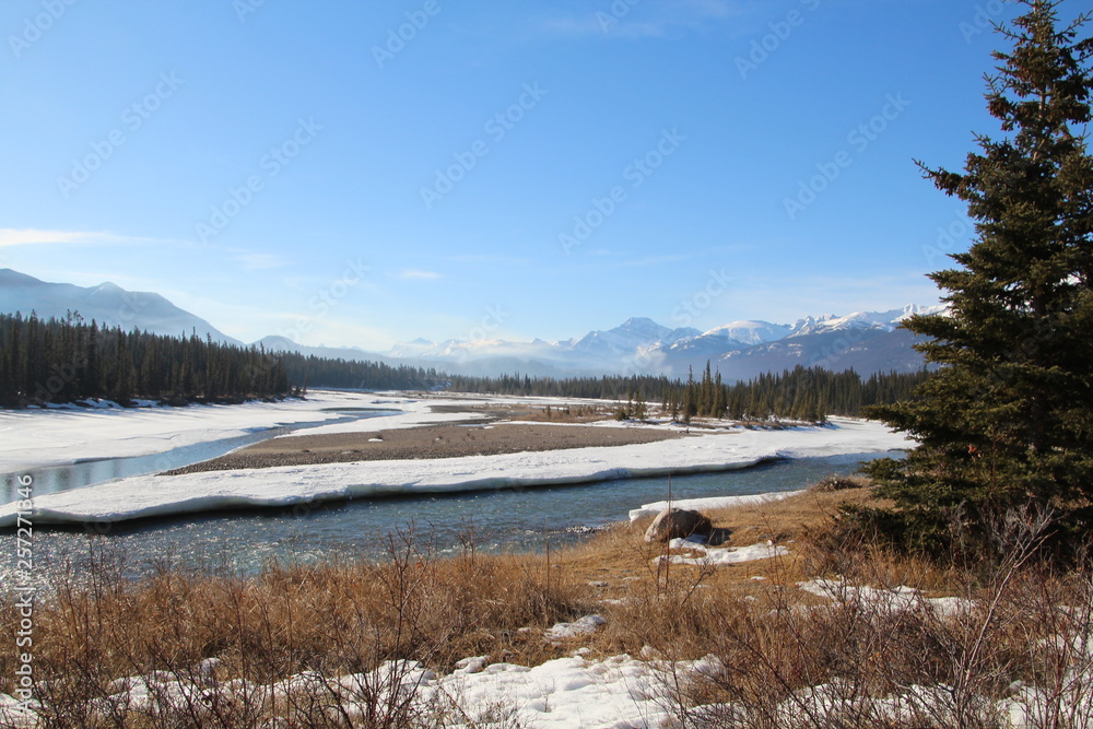 Looking Out On The Athabasca River, Jasper National Park, Alberta