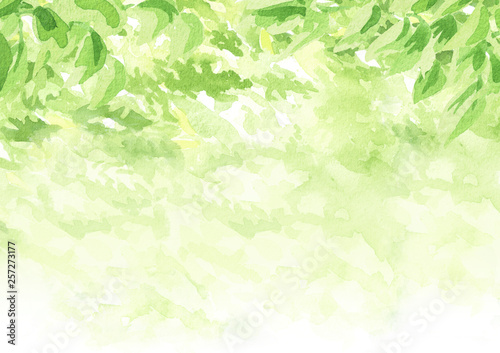 Empty table for your product with Green leaves natural background. Watercolor hand drawn illustration