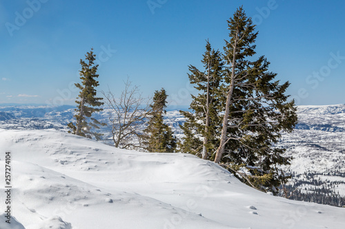 Looking out over a snow covered landscape on a sunny day, in Utah