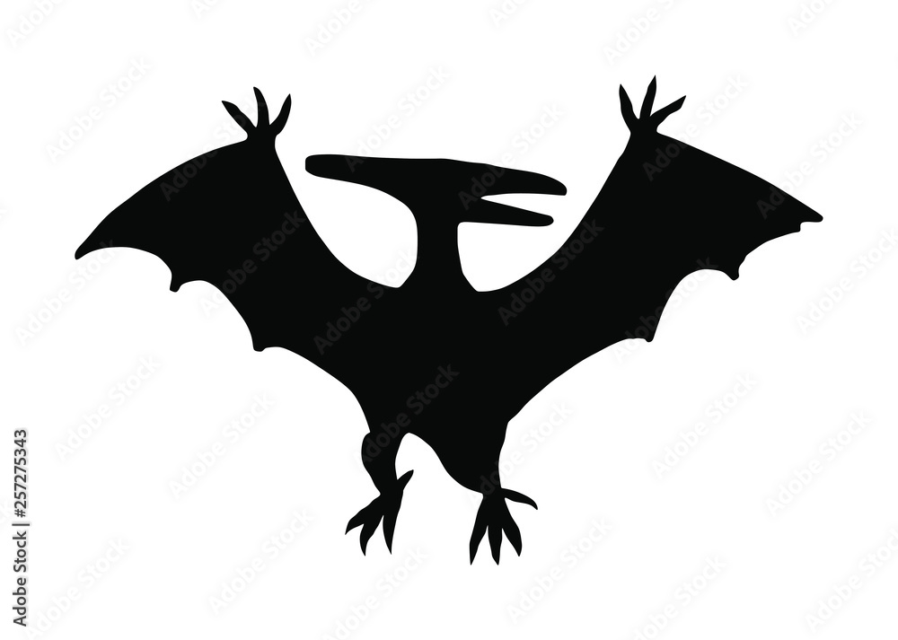 Pterodactyl Or Pteranodon Dinosaur Isolated Over White Stock Photo