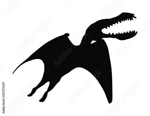 Cearadactylus vector silhouette isolated on white background. Dinosaurs bird symbol. Jurassic era. Dino sign. photo
