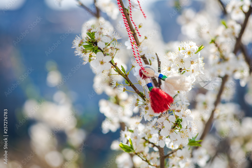 Bulgarian Martenitsa on a cherry tree. National Bulgarian Traditional holiday symbol. Bulgarian Martenitsa on a cherry tree. National Bulgarian Traditional holiday symbol.