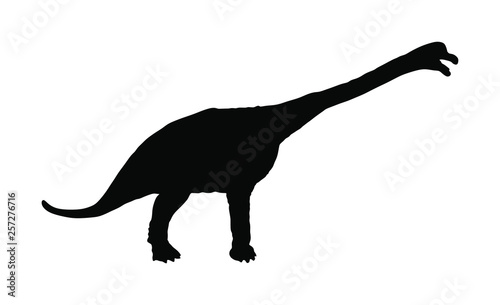 Brachiosaurus vector silhouette isolated on white background. Dinosaurs symbol. Jurassic era. Dino sign. © dovla982