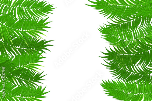 Summer jungle palm leaf frame