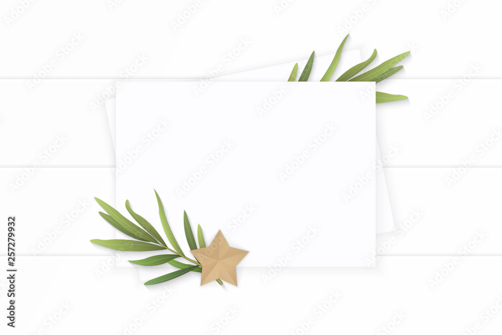 Flat lay top view elegant white composition paper plant tarragon leaf and star shape craft on wooden background